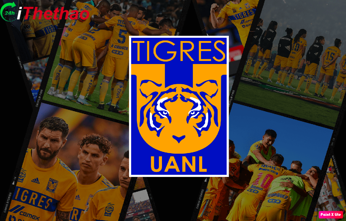 Vươn lên câu lạc bộ bóng đá Tigres UANL